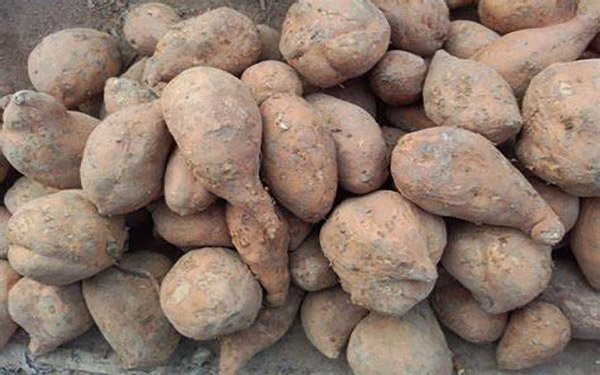 薯渣烘干機(jī)如何順利過環(huán)評(píng)